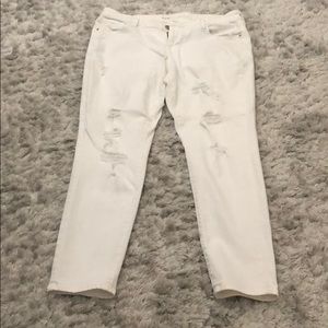 NWOT WHITE Distressed Jeans